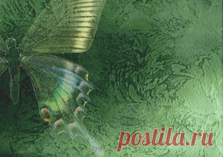 Венецианская штукатурка и как её сделать | Самоделкино