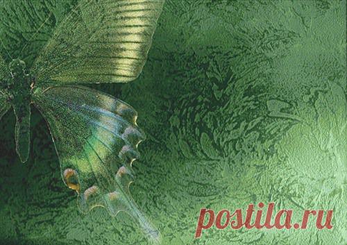 Венецианская штукатурка и как её сделать | Самоделкино