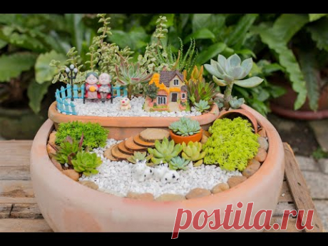 How I Make a Succulent Miniature Garden| Khu vườn sen đá tí hon| 多肉植物| 다육이들 | Suculentas