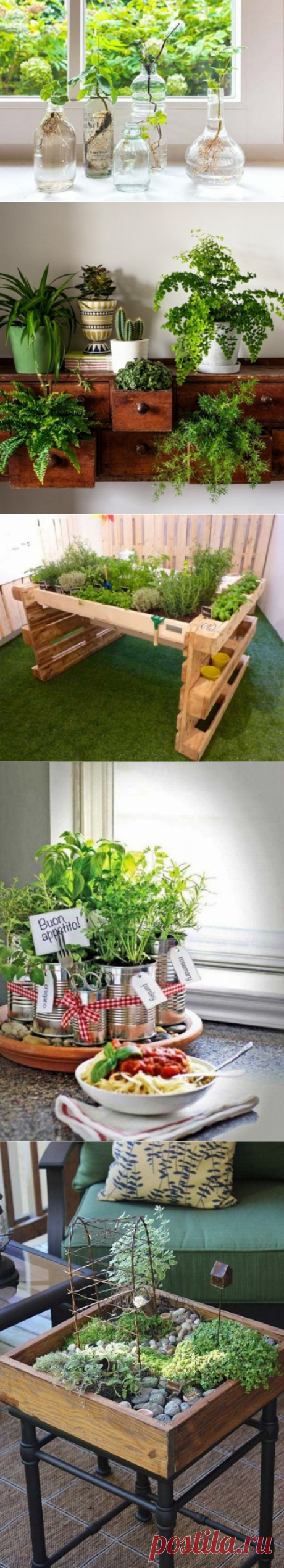 Создаем мини-сад в домашних условиях (24 фото)