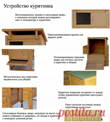Постройка обустройство курятника своими руками. Содержание кур несушек | Куры несушки на сайте ЗАГОРОДНАЯ ЖИЗНЬ