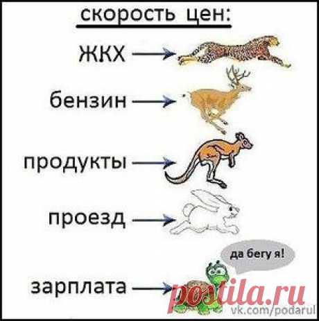 elenseliver — альбом «ЮМОР» на Яндекс.Фотках