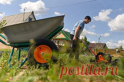 Дачников предостерегли от бросания в компостную кучу ряда продуктов. Дачникам рекомендовали не бросать в компостную кучу остатки молочных продуктов, а также рыбные и мясные добавки — это способно привести к опасным для здоровья последствиям. От выбрасывания ряда продуктов и предметов владельцев дачных участков предостерегло издание «БелНовости».