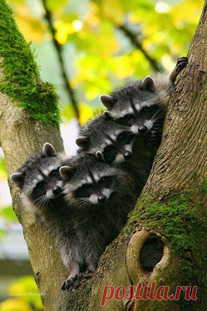 Виталий Богданов – Google+