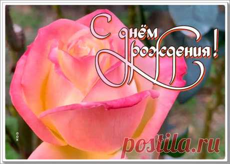 Открытка с днем рождения женщине с живой розочкой - приятное и искреннее поздравление онлайн. Открытка с днем рождения женщине с живой розочкой, скачать и отправить бесплатно.