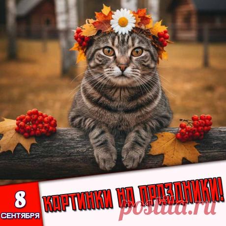 🎉 Праздники которые отмечают в России и мире 8 Сентября 2026 года (08.09.26 понедельник)

✅ День (Сретение) Владимирской иконы Божией Матери
✅ День языков народов России
✅ День финансиста в России
✅ День святой Натальи Овсяницы
✅ День извинений