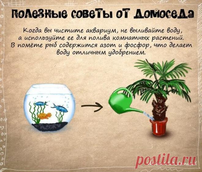 ПОЛЕЗНЫЕ БЫТОВЫЕ СОВЕТЫ | Ваш Дом