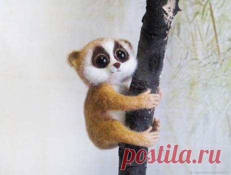 Купить Лемур Лори Валяная игрушка из шерсти в интернет магазине на Ярмарке Мастеров