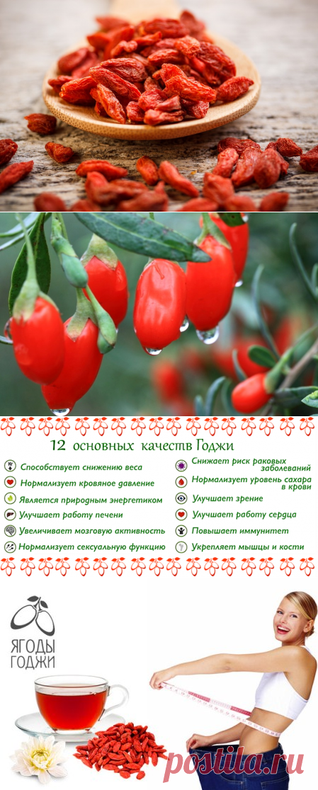 Ягоды годжи для похудения: как принимать и отзывы врачей