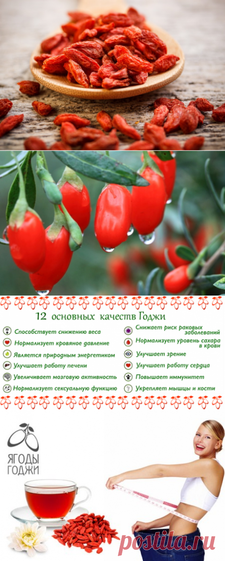 Ягоды годжи для похудения: как принимать и отзывы врачей