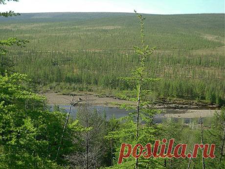 природа Севера