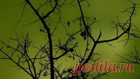Обои :: природа, минимализм