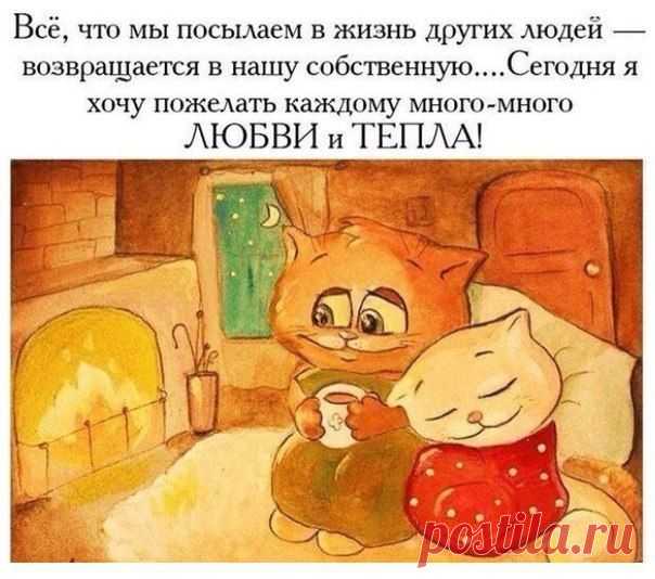 Новости