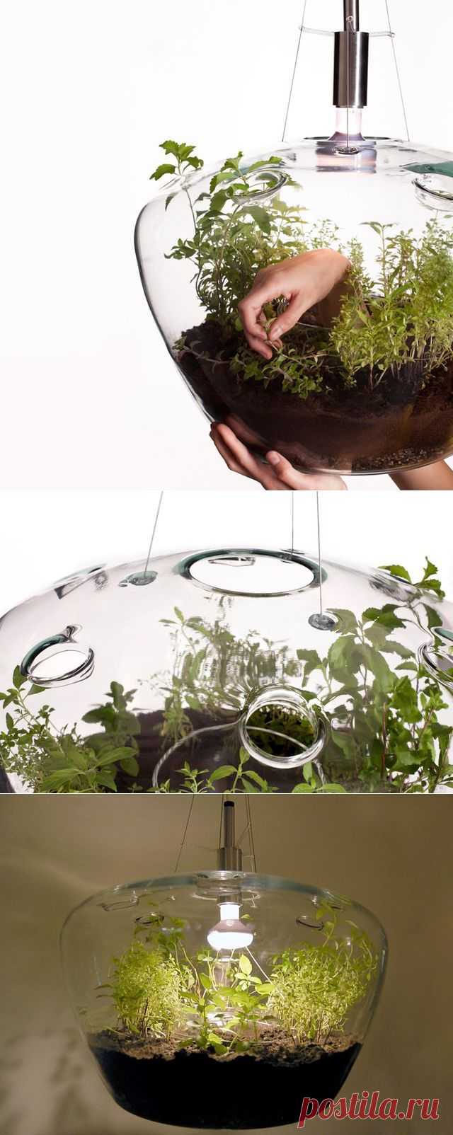 Потолочный светильник Greenhouse с растениями от Krstyna Pojerova | HandMade Idea