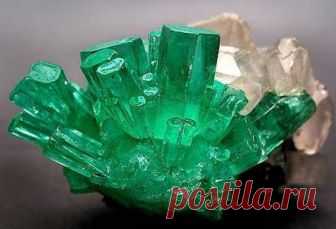 Изумруд 



 Изумруд считается одним из самых ценных камней.  Эти кристаллы излучают чистейшую энергию сияющего зеленого цвета. Зеленый — это цвет энергии чакры сердца, поэтому именно изумруд считается символ…