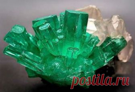 Изумруд
Изумруд считается одним из самых ценных камней. Эти кристаллы излучают чистейшую энергию сияющего зеленого цвета. Зеленый — это цвет энергии чакры сердца, поэтому именно изумруд считается символ…