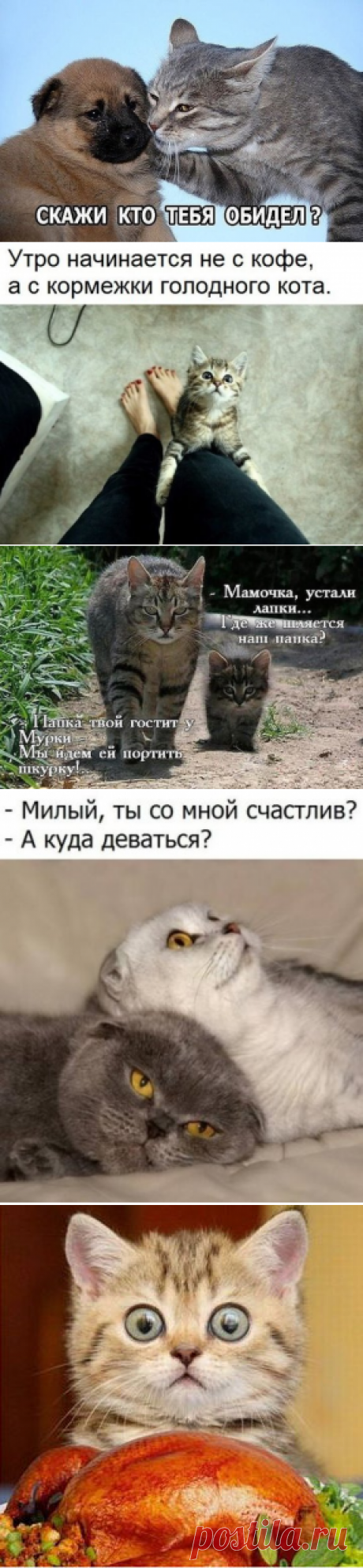 (78) Одноклассники