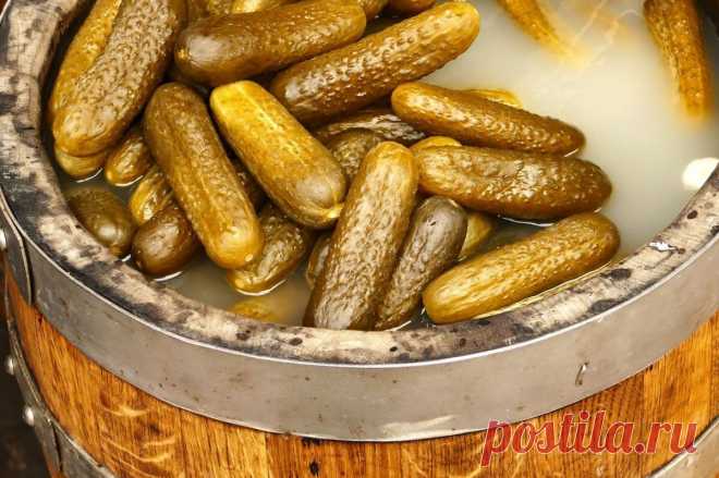 Огурцы, которые тает во рту: откройте тайну засолки вкусных и хрустящих лакомств по старинному рецепту! | Новый очаг | Дзен