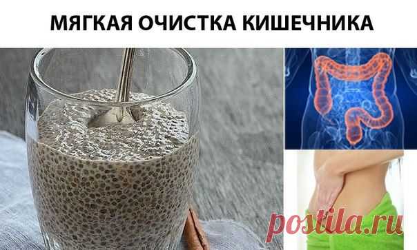 Мягкая очистка кишечника .