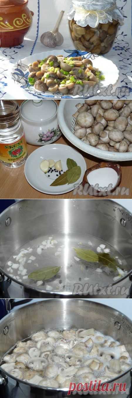 Маринованные шампиньоны за 3 часа (рецепт с фото) | RUtxt.ru