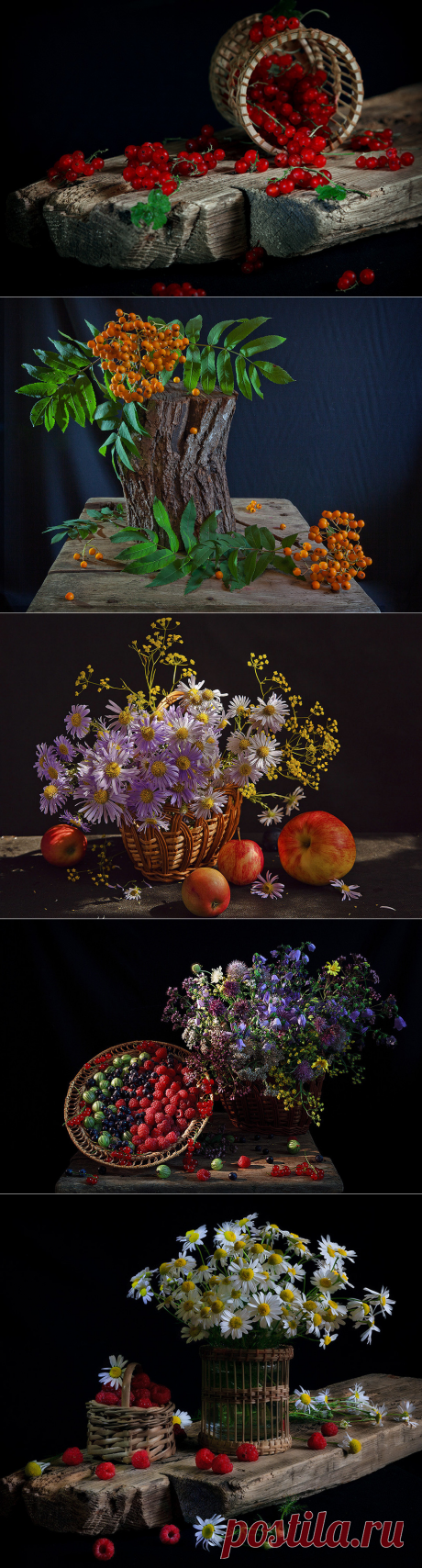 Фотонатюрморты Зои Полянской.