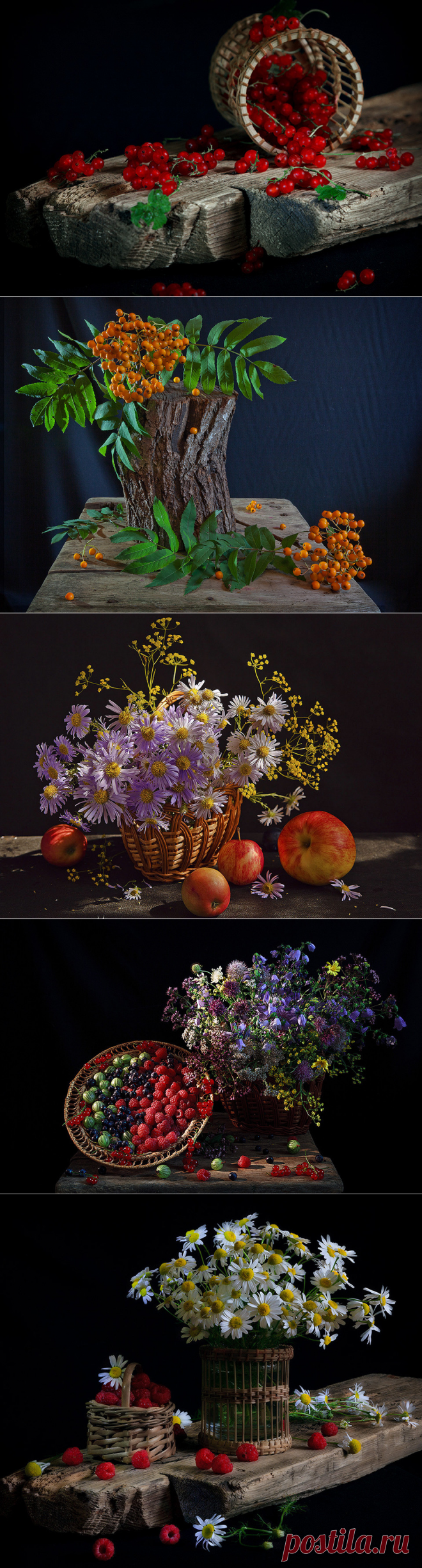 Фотонатюрморты Зои Полянской.