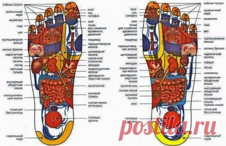 Экспресс-массаж на все случаи жизни / Будьте здоровы