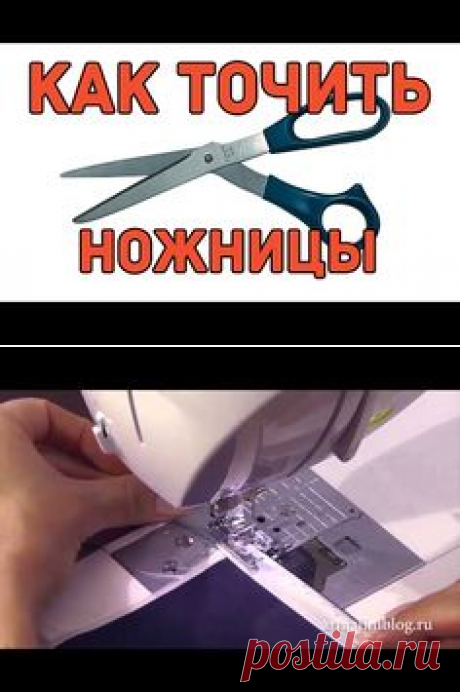 Лапки 32+