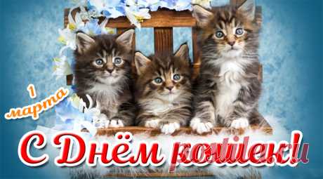 С Днем кошек от души вас поздравляю,
Любить своих питомцев вам желаю,
Чтоб когти не точили, не рычали,
А только лишь от радости мурчали!