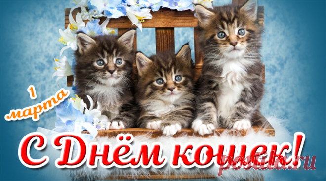 С Днем кошек от души вас поздравляю,
Любить своих питомцев вам желаю,
Чтоб когти не точили, не рычали,
А только лишь от радости мурчали!