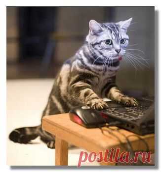 Как передать файлы большого размера через Интернет? Сервис File Dropper. | Интернет Капуста