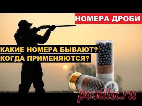 💥НОМЕРА ДРОБИ, КАРТЕЧИ И ИХ ПРИМЕНЕНИЕ. НА ОХОТЕ.