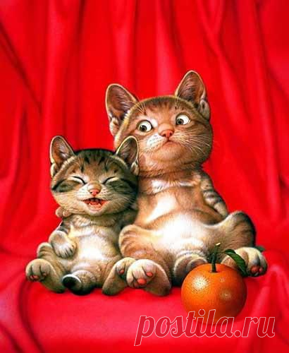 Кошки ( котята , коты , котики ) и прочие звери от Макото Мурамацу - Ярмарка Мастеров - ручная работа, handmade