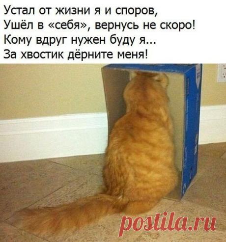 OK.RU