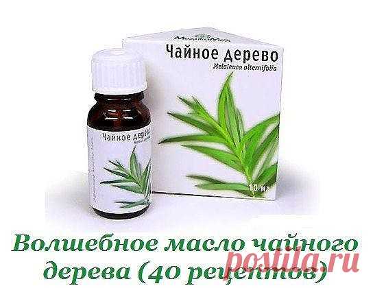 Волшебное масло чайного дерева: 40 рецептов для красоты и здоровья | Всегда в форме!