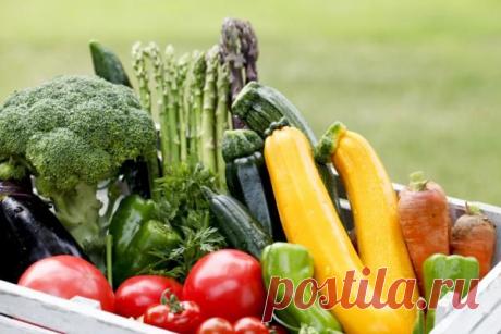 Календарь народных примет погоды на август