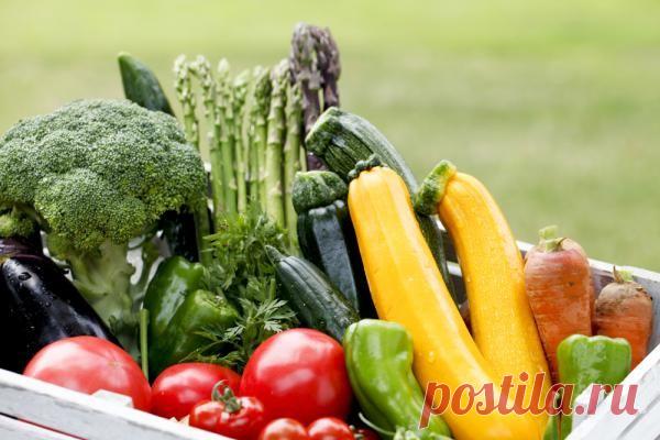 Календарь народных примет погоды на август