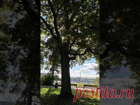 Прогулка осенним днем / Hamburg Altona #hamburg #europe #travel