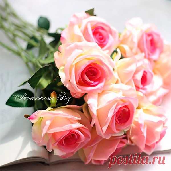 И пусть в твоих глазах всегда искрятся счастливые смешинки!..