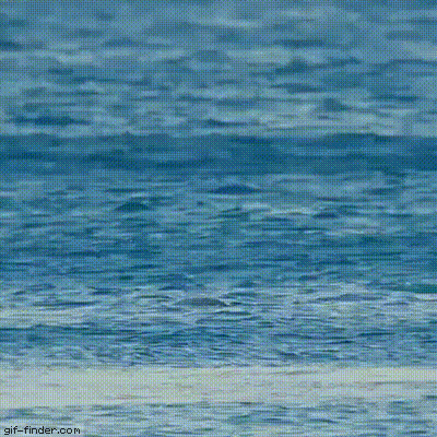 photo254.gif (400×400)