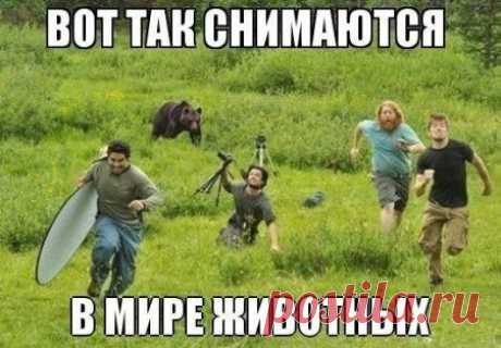 Мой Мир@Mail.Ru