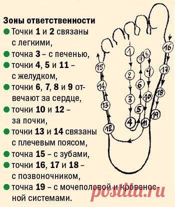 Стимуляция организма воздействием на активные точки стопы