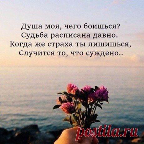 Фитхакер - Публикации