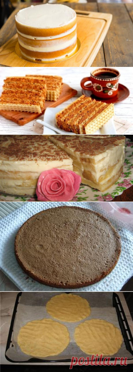 Коржи для торта: копилка уникальных рецептов