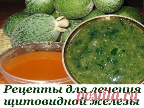 Рецепты для лечения щитовидной железы
1. 1 кг сахара и 1 кг фейхоа пропустить через мясорубку, переложить в банку и дать настояться. Сахар должен полностью раствориться, а фейхоа дать сок. Принимать эту смесь по 1 ст. ложке утром и вечером. Принимать 10 дней, затем перерыв 10 дней.
2. Можно чередовать со следующим рецептом: 1 стакан перегородок грецких орехов залить 0,5 л водки и 10 дней настоять. Пить по 1 ч. ложке утром перед едой. 10 дней пить, 10 дней — перерыв. Месяц — фейхоа, месяц — пер