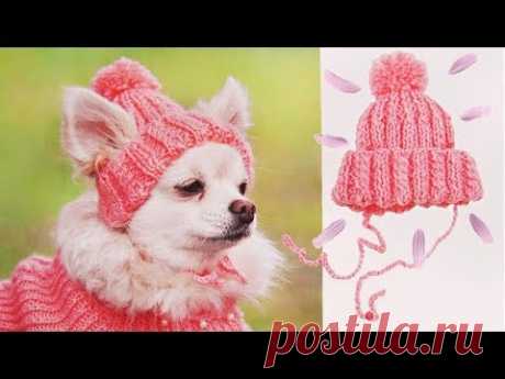 ШАПКА ДЛЯ СОБАКИ | DIY HAT FOR DOG
