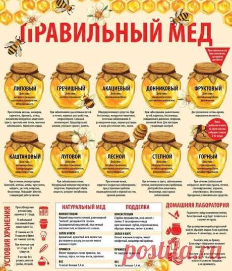 Правильный мёд