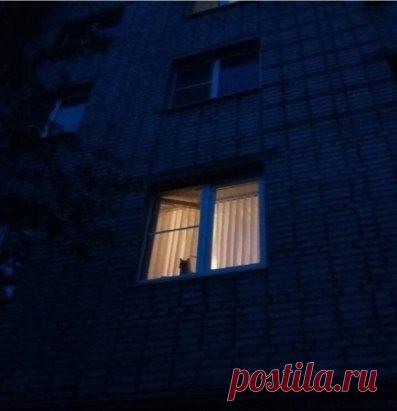 То прекрасное чувство, когда тебя ждут дома