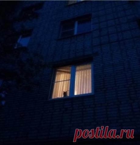 То прекрасное чувство, когда тебя ждут дома