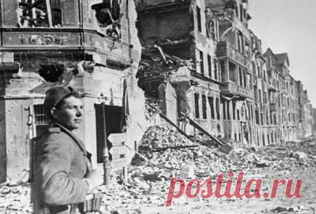 Бесславные шляхтичи. Как Польша показывала военный гонор во Второй Мировой | История | Общество | Аргументы и Факты